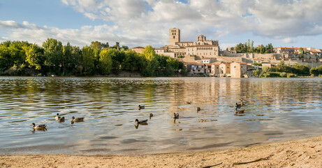 Cityscape with 12th century Romanesque cathedral and watermills on the Duero River in Zamora, Castilla y León, Spain.