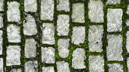 Texture of stone road, bright green moss between stones