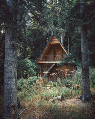 Russia, Caucasus, Dombay, a gloomy abandoned wooden house in a coniferous forest