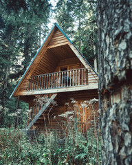 Russia, Caucasus, Dombay, a gloomy abandoned wooden house in a coniferous forest