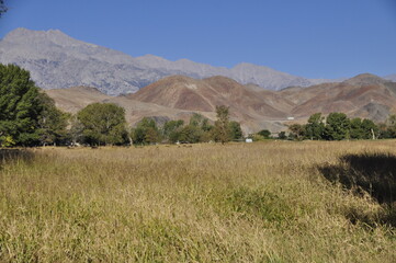 Obraz premium landscape with mountains