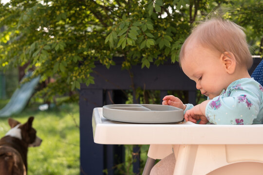 One Year Old Baby Eating Outside In Backyard While Seated In High Chair; Deck And Pet Dog In Background