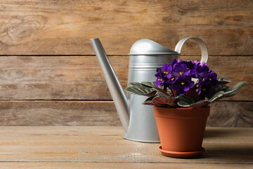 Beautiful potted violet flowers and watering can on wooden table, space for text. Delicate house...