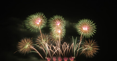 International fireworks festival display at night. Variety of colorful fireworks in holidays celebration isolated on black. Happy New Year Background. © tampatra