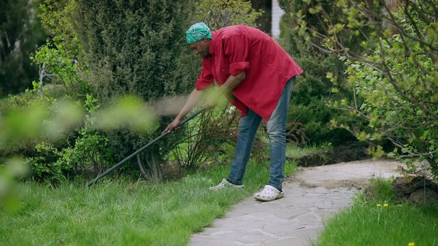 Wide shot of confident young African American man with rake cleaning garden outdoors. Side view of handsome fit guy working in backyard taking care of green grass removing fallen leaves in spring