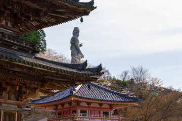 春の壷阪寺