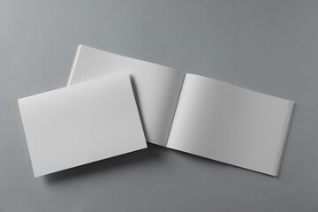 Blank brochures on light grey background, flat lay