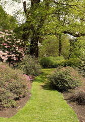 English Landscape garden in Spring