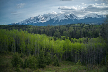 Fototapeta na wymiar Spring in the Mountains of Canada