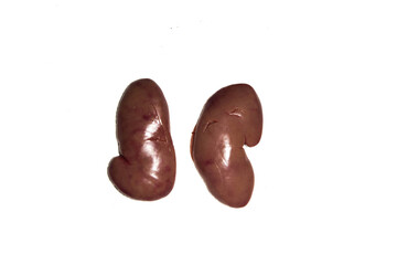 Human kidney on a white background