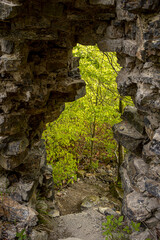 Ruine eines Turmes mitten im Wald