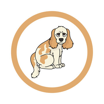 Cute cartoon Cocker Spaniel in circle puppy vector clipart. Pedigree kennel doggie breed for kennel club. Purebred domestic dog training for pet parlor. Illustration mascot. Isolated canine. 