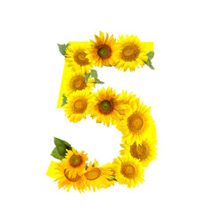 Figure 5 made of beautiful sunflowers on white background