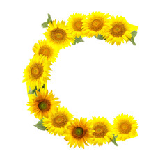 Letter C made of beautiful sunflowers on white background