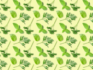 Fototapeta na wymiar Set of fresh herbs on color background