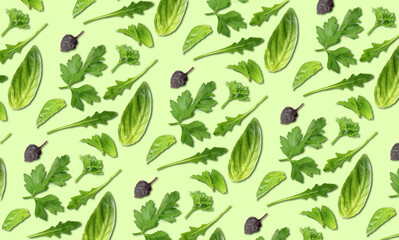 Set of fresh herbs on color background