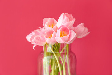 Vase with beautiful tulip flowers on color background