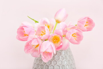 Vase with beautiful tulip flowers on light background