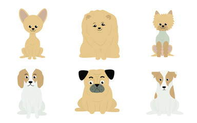 A set of 6 small dog breeds. Chihuahua, spitz, yorkshire terrier, spaniel, pug, jack russell terrier. Cute little dogs on a gray background. Vector illustration in a flat style.