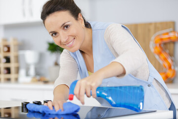beautiful housekeeper cleaning the kitchen