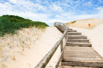 Footpath on dune on Sylt. Germany.