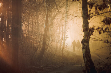 Two people walking in the morning fog