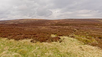 Fototapeta premium Wicklow mountains with green and brown peatland on a foggy day. Dublin, Ireland