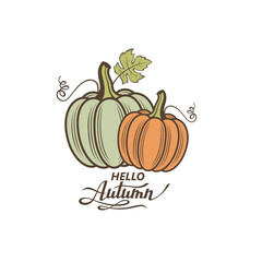 illustration of vegetable pumpkins with green leaves isolated on white background