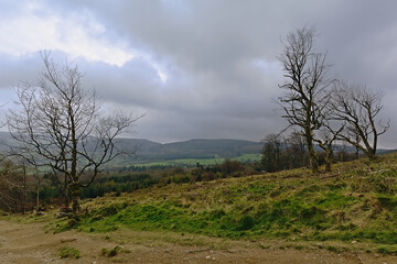 Meadow with bare trees and foggy spruce forest and mountians on Montpelier hill, Dublin