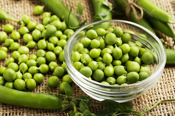 Green peas in bowl with sackcloth