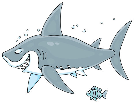Funny great white shark slyly smiling and swimming with a small striped fish in water of a tropical sea, vector cartoon illustration isolated on a white background