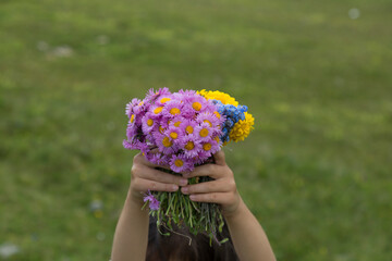 Pink daisy flowers Erigeron and  Myosotis 
bouquet from Turkey mountains for background. 