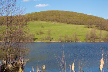 Lake in the background of the mountain forest in spring