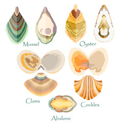 Set with edible mollusks made in flat style