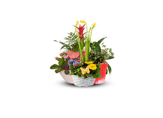 bouquet of flowers bird of paradise beautiful in pots isolated on white​ background with​ cutout and​ clipping​ path​