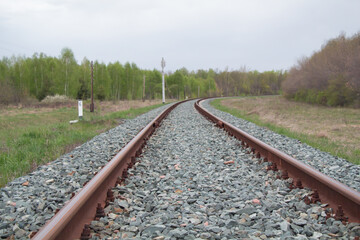 Obraz premium Railroad tracks running into the woods in the distance