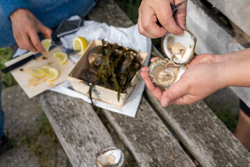 close up view of two caucasian women shucking raw oysters and enjoying them with lemon