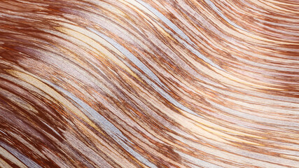 wave deformed plane with texture. 3d render illustration