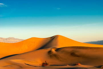 Fototapeta na wymiar Sand dunes against the blue sky at sunrise.