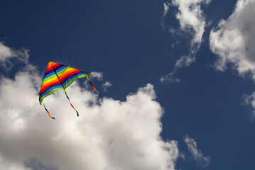 kite flying in the sky