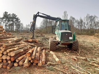Máquina cargando madera en un monte de Galicia