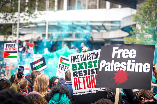 Israel-Gaza: London protesters take to the streets in support of Palestine