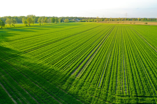 Umweltschutz Luftaufnahme Agrar Felder bewirtschaften Nachhaltigkeit CO2 frei Emissionsfrei Agrarreform