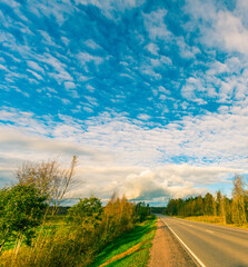 Fototapeta premium Autumn rural road illuminated by the sun running through a forest. Close up view from the side of the road