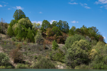 A hill overgrown with trees and bushes above the lake