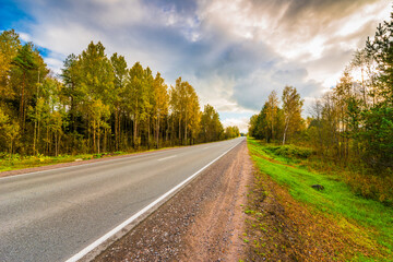 Autumn rural road running through a forest. Close up view from the side of the road