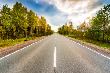 Fototapeta premium Autumn rural road running through a forest. Close up view from the center of the road
