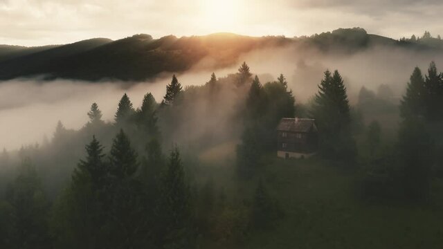 Thick fog morning at sun mountain aerial. Mist over scary pine forest. Nobody nature landscape at autumn. Foggy clouds at wild fir trees. Cottage at spruce wood. Cinematic drone shot. Italy, Europe