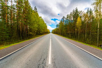 Autumn rural road running through a forest. Close up view from the center of the road