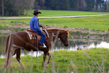 Ride on a wildeside. Frau auf Westernpferd im Abendlicht